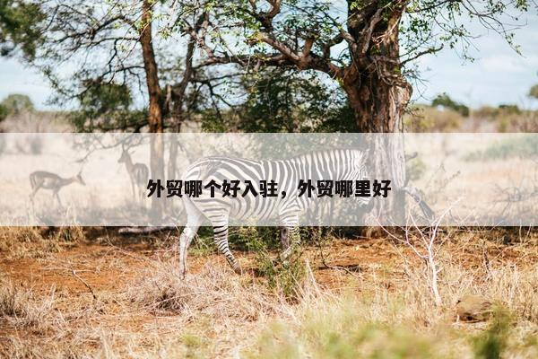 外贸哪个好入驻，外贸哪里好