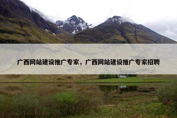 广西网站建设推广专家，广西网站建设推广专家招聘