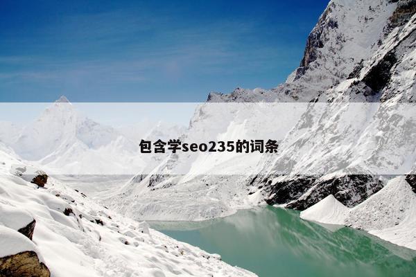 包含学seo235的词条