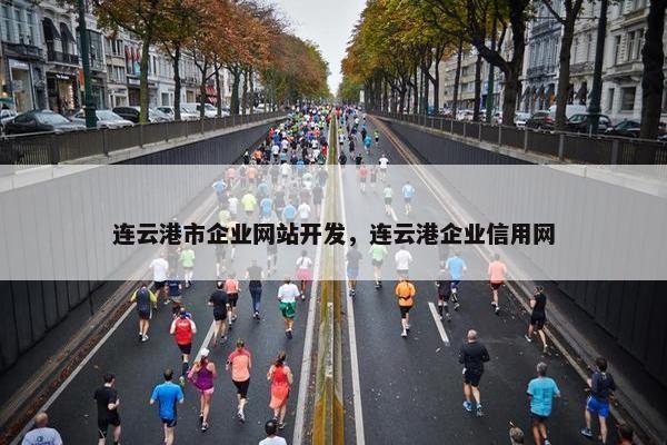 连云港市企业网站开发，连云港企业信用网