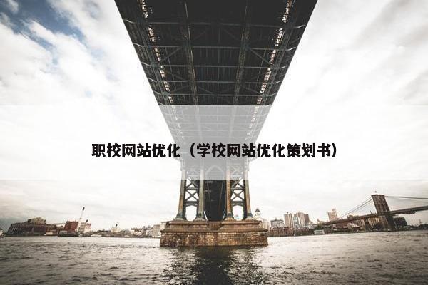 职校网站优化（学校网站优化策划书）