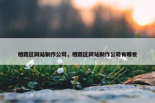 栖霞区网站制作公司，栖霞区网站制作公司有哪些