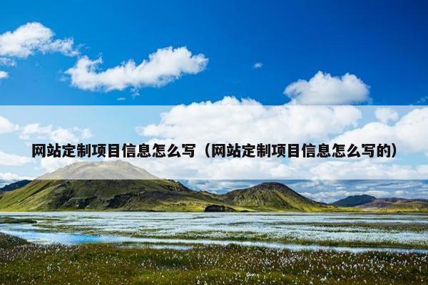 网站定制项目信息怎么写（网站定制项目信息怎么写的）