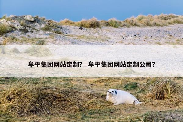 牟平集团网站定制？ 牟平集团网站定制公司？